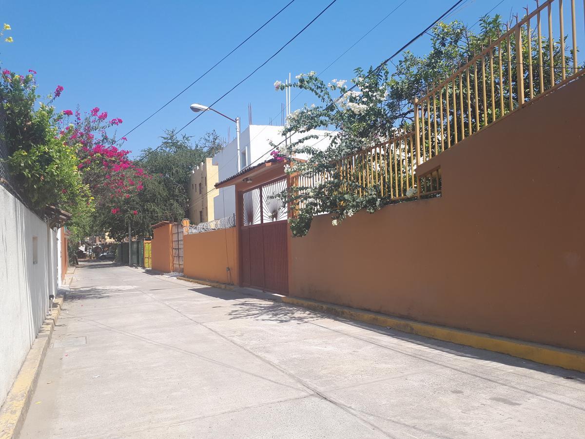 Casa Luz De Luna Daire Zihuatanejo Dış mekan fotoğraf